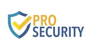 Pro security 